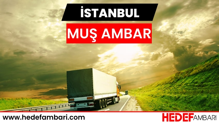 İstanbul Muş Ambar Nakliyat | Kargo Ve Taşımacılık Hizmeti